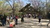 Fort Worth Zoo half-price day during spring break