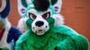 Author of Texas bill to ban 'furries' in schools cannot come up with examples of it happening