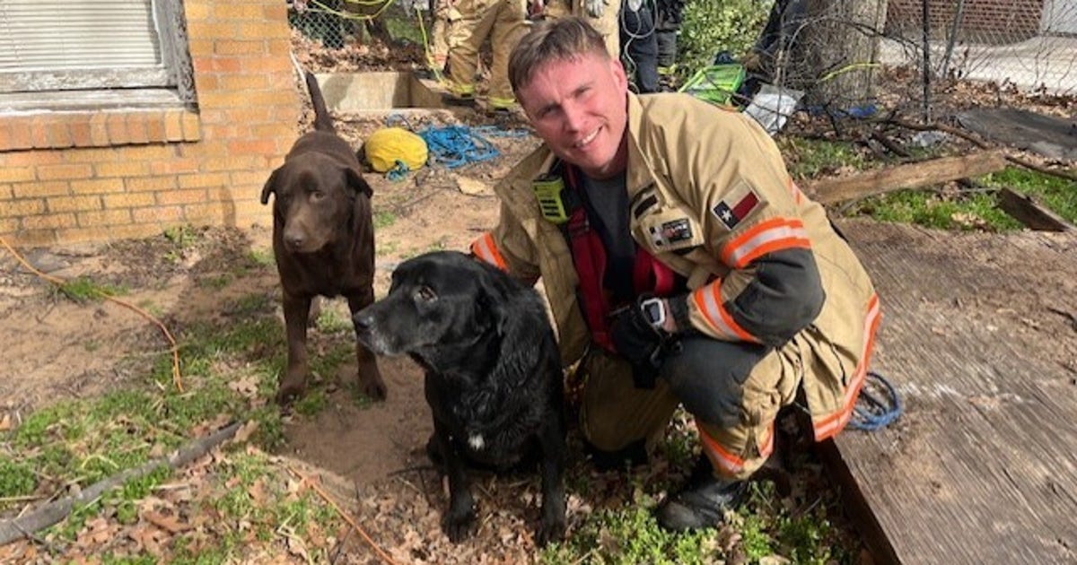 Fort Worth, River Oaks Fire Departments save dog from well | FOX 4 ...