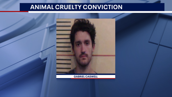 Weatherford man who stomped on kittens’ heads, tortured and killed them faces 40 years in prison