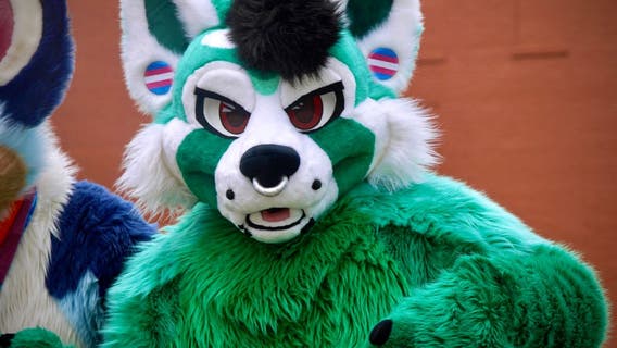 Author of Texas bill to ban 'furries' in schools cannot come up with examples of it happening