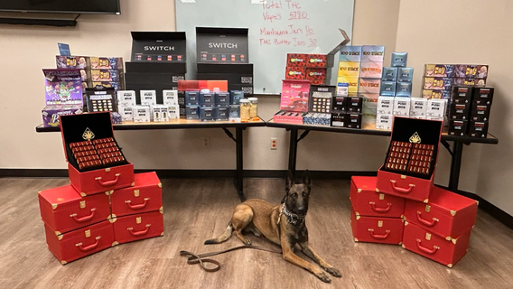 Texas man transporting 30 pounds of marijuana, THC from New Mexico into Texas arrested: DPS