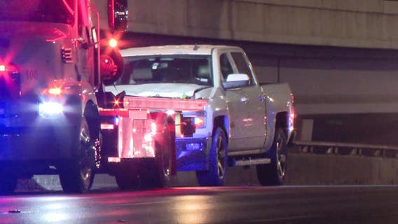 Woman killed on Dallas highway after chasing dog into traffic, police say