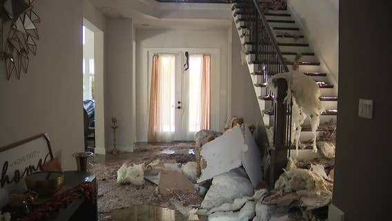 Dallas weather: Storm cleanup, Irving tornado damage, weekend cold front with rain chances