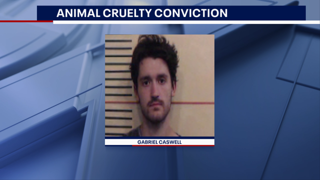 Weatherford man who stomped on kittens’ heads, tortured and killed them faces 40 years in prison