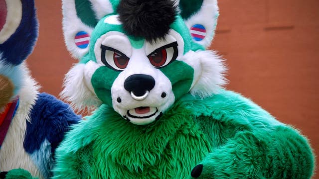 Author of Texas bill to ban 'furries' in schools cannot come up with examples of it happening