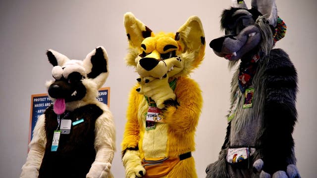 Texas bill targets 'furries,' banning non-human behavior in schools