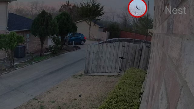 Mesquite plane crash: 1 killed near Mesquite airport