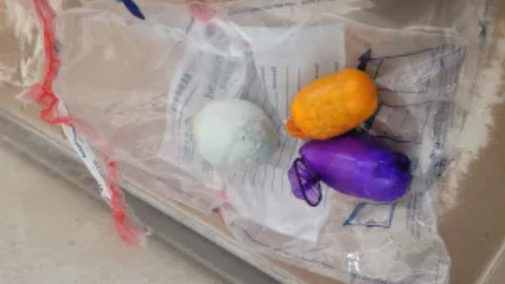 Texas Border Patrol arrest woman trying to smuggle drugs in multiple internal cavities