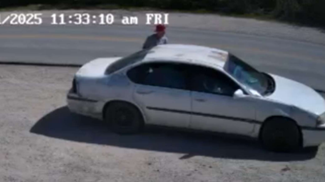 Dallas Police search for suspect in animal cruelty investigation