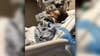 Lewisville Police search for suspect after teen injured in hit-and-run