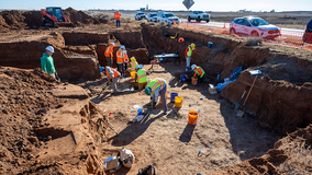 'Big ol' animal' fossils could slow Texas road construction