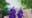 Mom, son to graduate from TCU on Mother's Day weekend