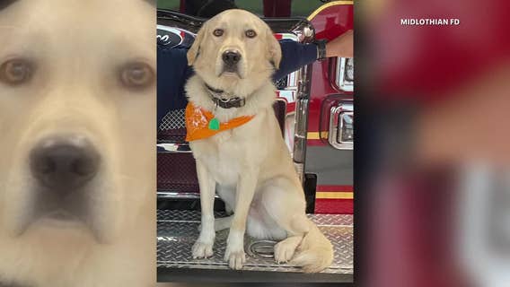 Midlothian Fire Department continues search for Riggs, the firehouse dog