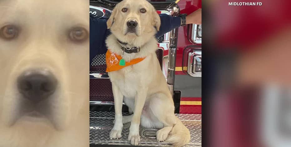 Midlothian Fire Department continues search for Riggs, the firehouse dog