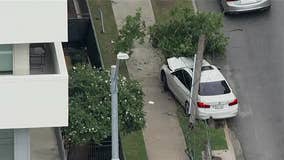 1 dead, 2 in custody after Old East Dallas shooting involving bounty hunter, sources say