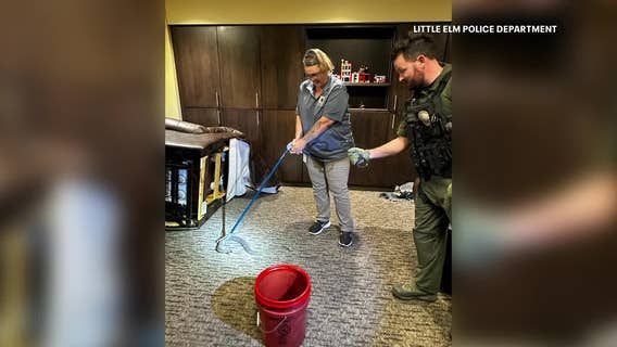 Little Elm police remove snake from fire department's recliner