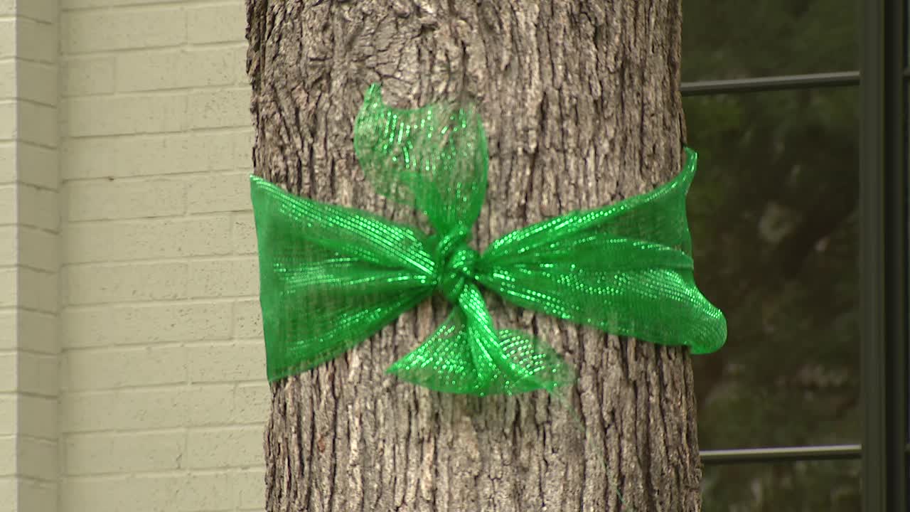 Texas flooding: Green ribbons, lights honor Camp Mystic victims across state