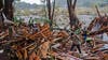 Texas flooding: Additional rain dampens search efforts in Hill Country