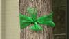 Texas flooding: Green ribbons, lights honor Camp Mystic victims across state