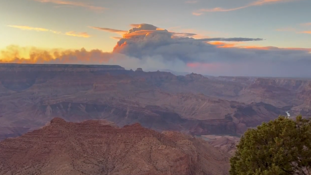 Texas couple leads Grand Canyon campground evacuation in wildfire response