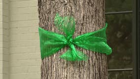 Texas flooding: Green ribbons, lights honor Camp Mystic victims across state