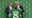 Dallas Stars welcome new head coach Glen Gulutzan