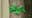 Texas flooding: Green ribbons, lights honor Camp Mystic victims across state