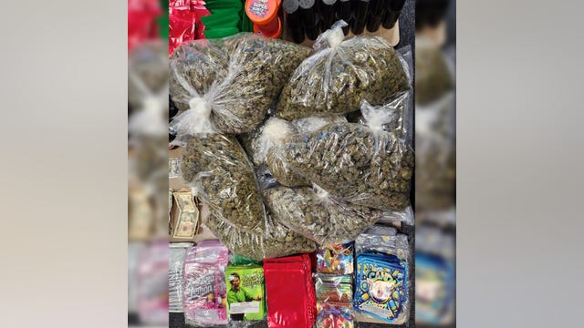 Dallas police seize drugs, guns, make arrest after receiving tip