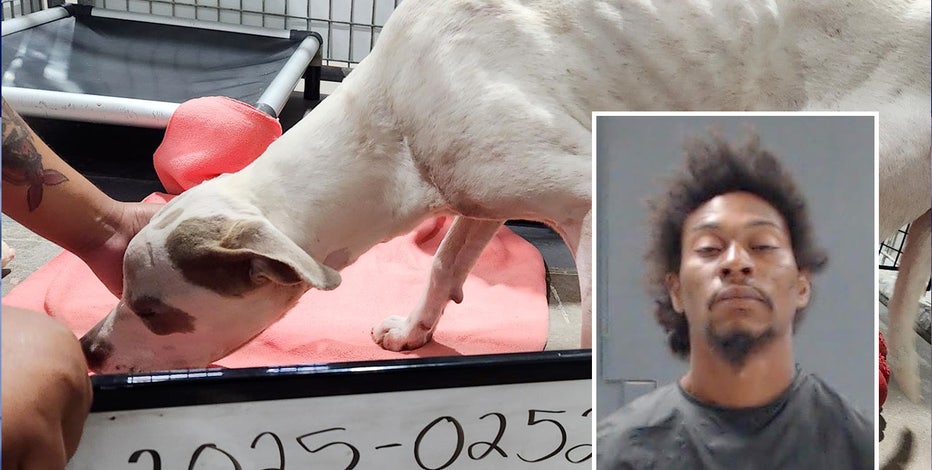 Hunt County man accused of torturing dog