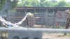 Noise complaints, permit violations surround Red Oak trail ride event where 3 were shot