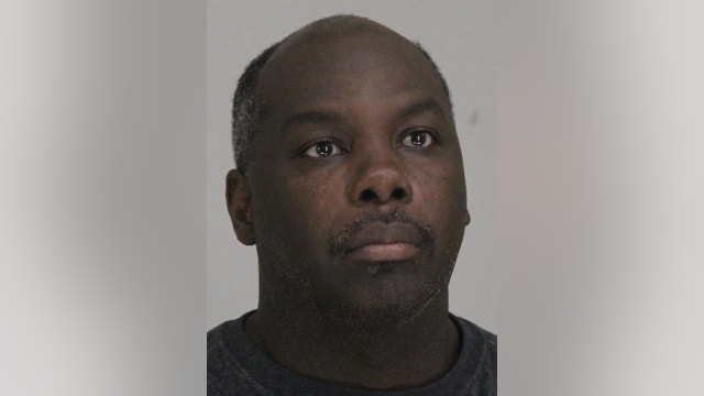 8 dogs rescued from Dallas 'dog-fighting environment,' man arrested