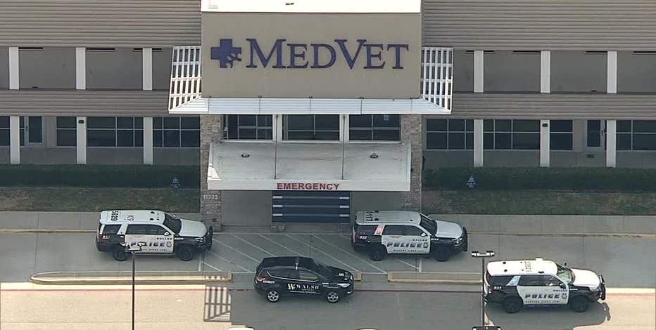 Dallas police K-9 hospitalized for heat-related illness