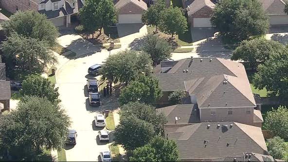 Arlington woman stabbed to death in backyard