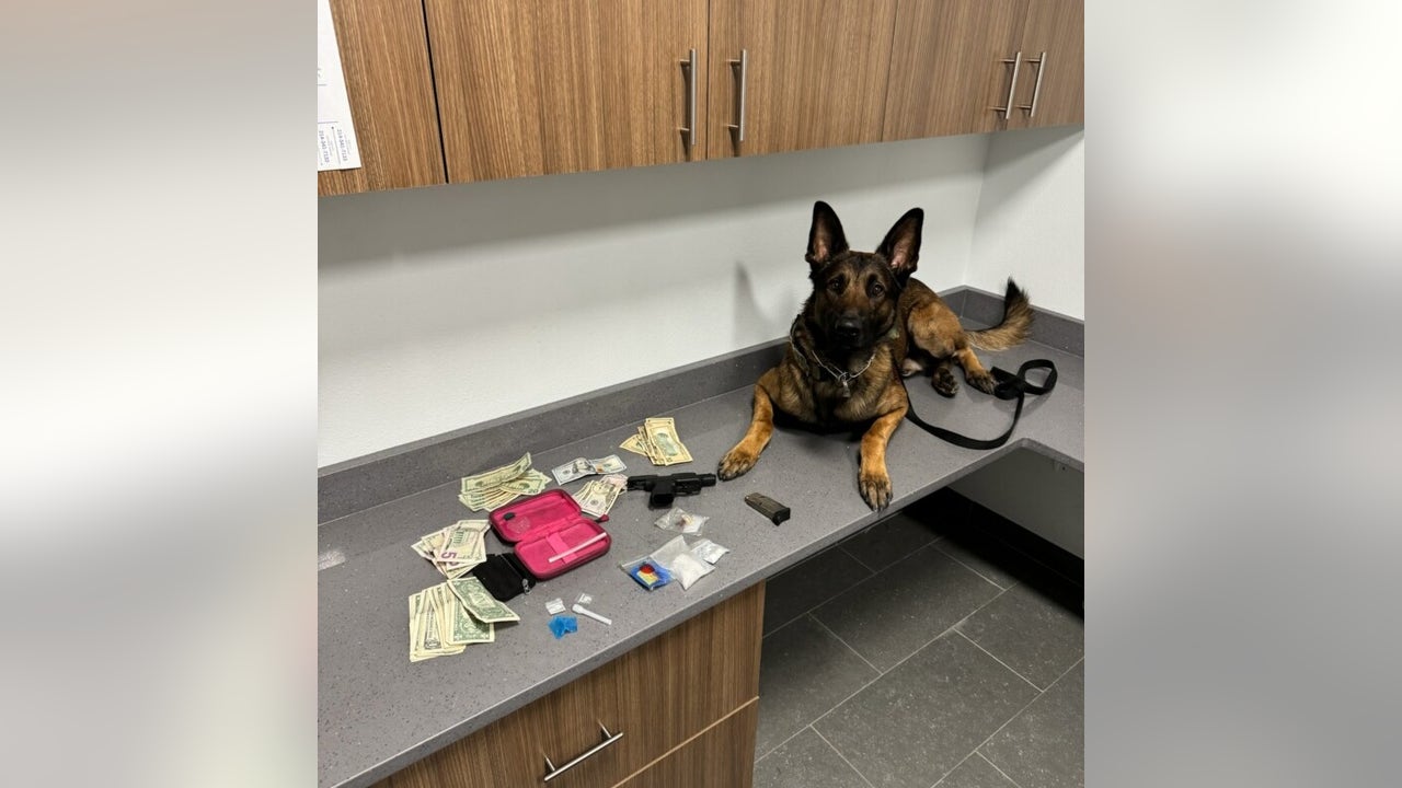 Merced Police K9 Uncovers $900K Cocaine Bust During Traffic Stop