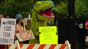 Anti-ICE, anti-fascist signs popular at North Texas 'No Kings' protests