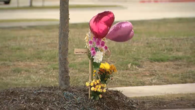 Sachse residents plead for traffic change after fatal hit-and-run at crosswalk