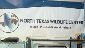 North Texas Wildlife Center gets new home in Plano