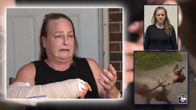 Dog Attack: Owner, boyfriend arrested after pit bull mauling hospitalizes victim