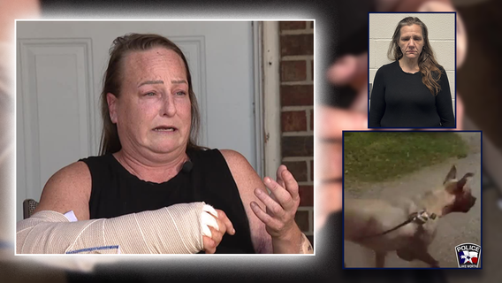 Dog Attack: Owner, boyfriend arrested after pit bull mauling hospitalizes victim