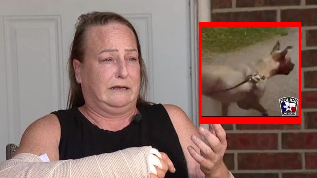 Victim recovering as owner in Lake Worth dog mauling still at large