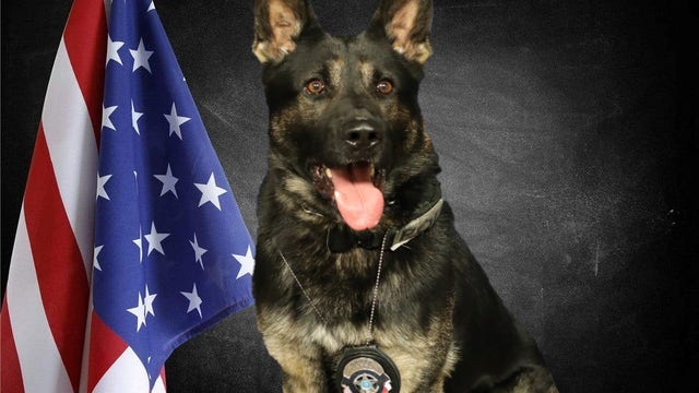 Haltom City police mourn the death of K-9 Ghost