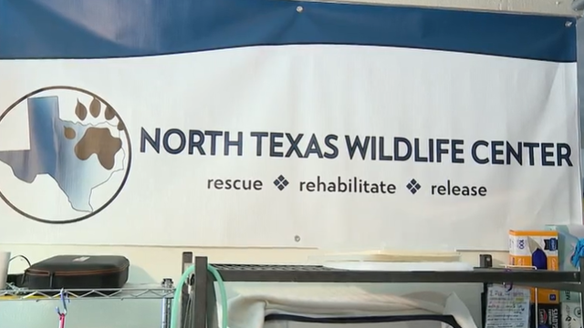 North Texas Wildlife Center gets new home in Plano