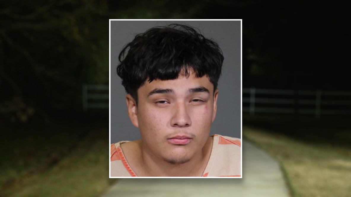 Woman attacked with hammer while jogging in Plano park