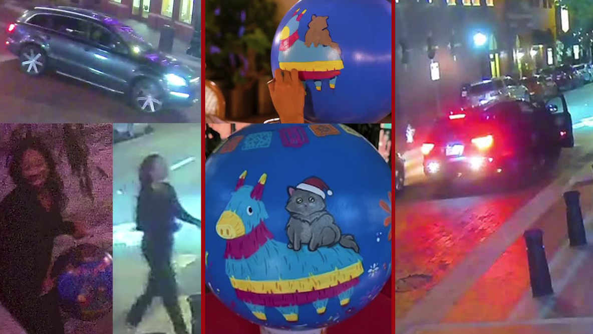 Do you know this ‘Grinch’? Woman caught on camera stealing unique ornament off Christmas tree