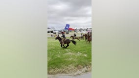 High school football team’s truly Texan sendoff goes viral