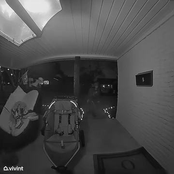 VIDEO: Lake Highlands 'grinches' caught on camera stealing couch off front porch