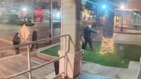 Watch: Man rips Christmas lights off tree outside Dallas business