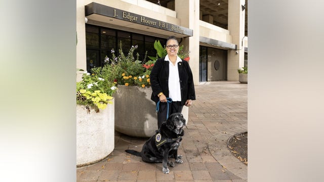 FBI crisis dog who comforted Uvalde families retires after a decade of service