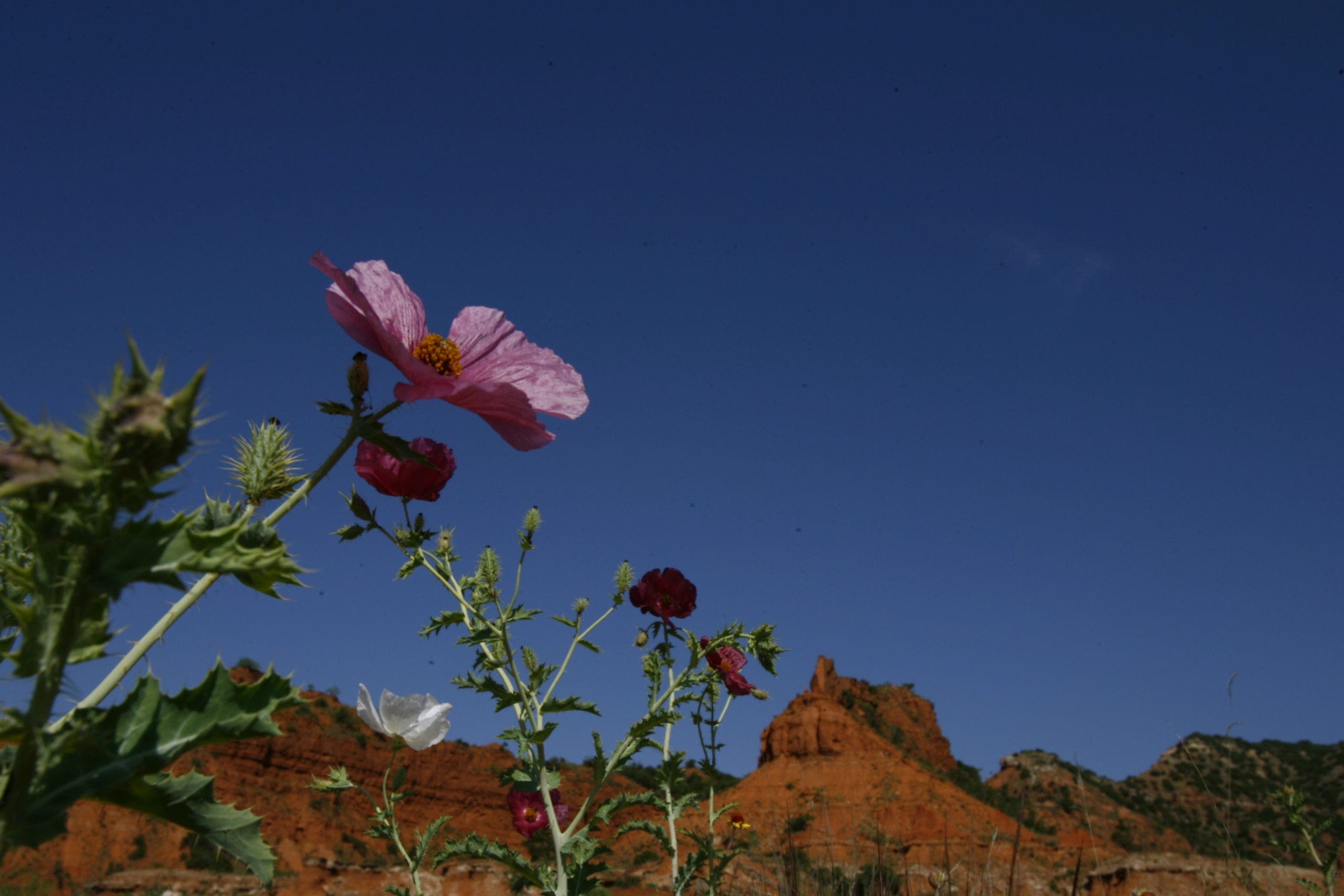 This Texas state park is 5th to get 'Dark Sky' designation